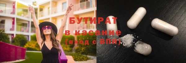 индика Аркадак