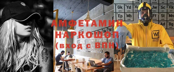 индика Аркадак