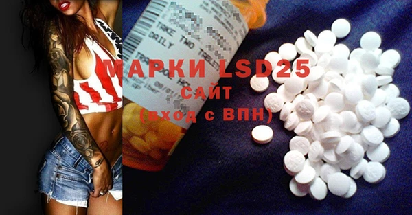 индика Аркадак