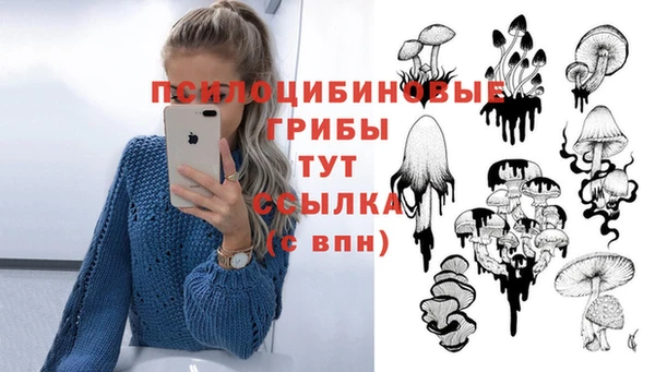 индика Аркадак