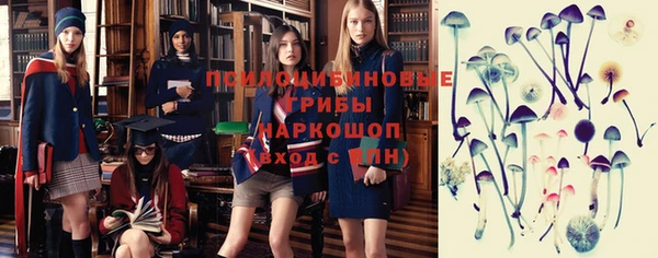 индика Аркадак