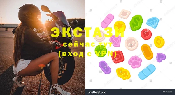 индика Аркадак