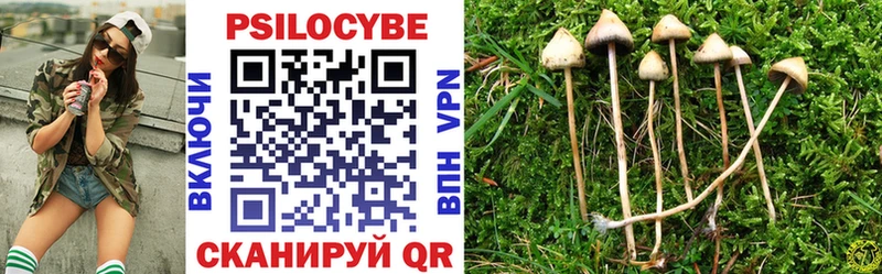 Галлюциногенные грибы Psilocybe  это официальный сайт  Туринск 